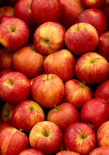 A close-up view of numerous fresh apples piled together, displaying a variety of red and yellow hues with smooth, glossy skin. The apples are arranged closely, filling the entire frame, with some showing slight natural blemishes and gentle stems visible on a few. The environment is well-lit, highlighting the vibrant colours and shiny texture of the fruit. The image evokes a sense of natural freshness, typical of produce found in fruit markets or storerooms, and is relevant to discussions of fruit handling or produce waste management. Waste Removal Maida Vale often supports proper disposal and recycling of organic waste, including surplus or spoiled fruit, which can be part of an alternative waste handling process for food waste. The apples' uniform size and appearance suggest they are retail-grade, yet their natural imperfections remind viewers of the importance of responsible waste disposal for organic items.